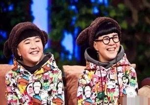 刘纯燕八卦,揭秘明星背后的故事与传奇