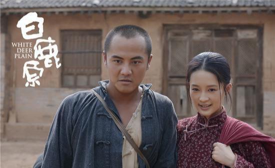 黑娃老婆演员,演绎传奇女性的银幕风采